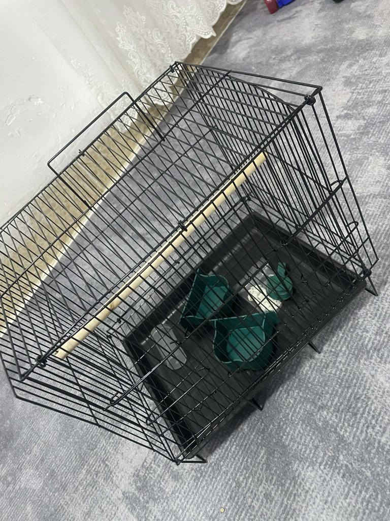 ‎سڵاوتان لێبێت مەجموعەیەک ئەشیام هەێە کێ ویستی چات بۆ بکات‎ السليمانية, العراق


**إذا كنت صاحب هذا الإعلان وتريد حذفه لأي سبب، رجاءا أرسل رسالة إلى الدعم الفني**