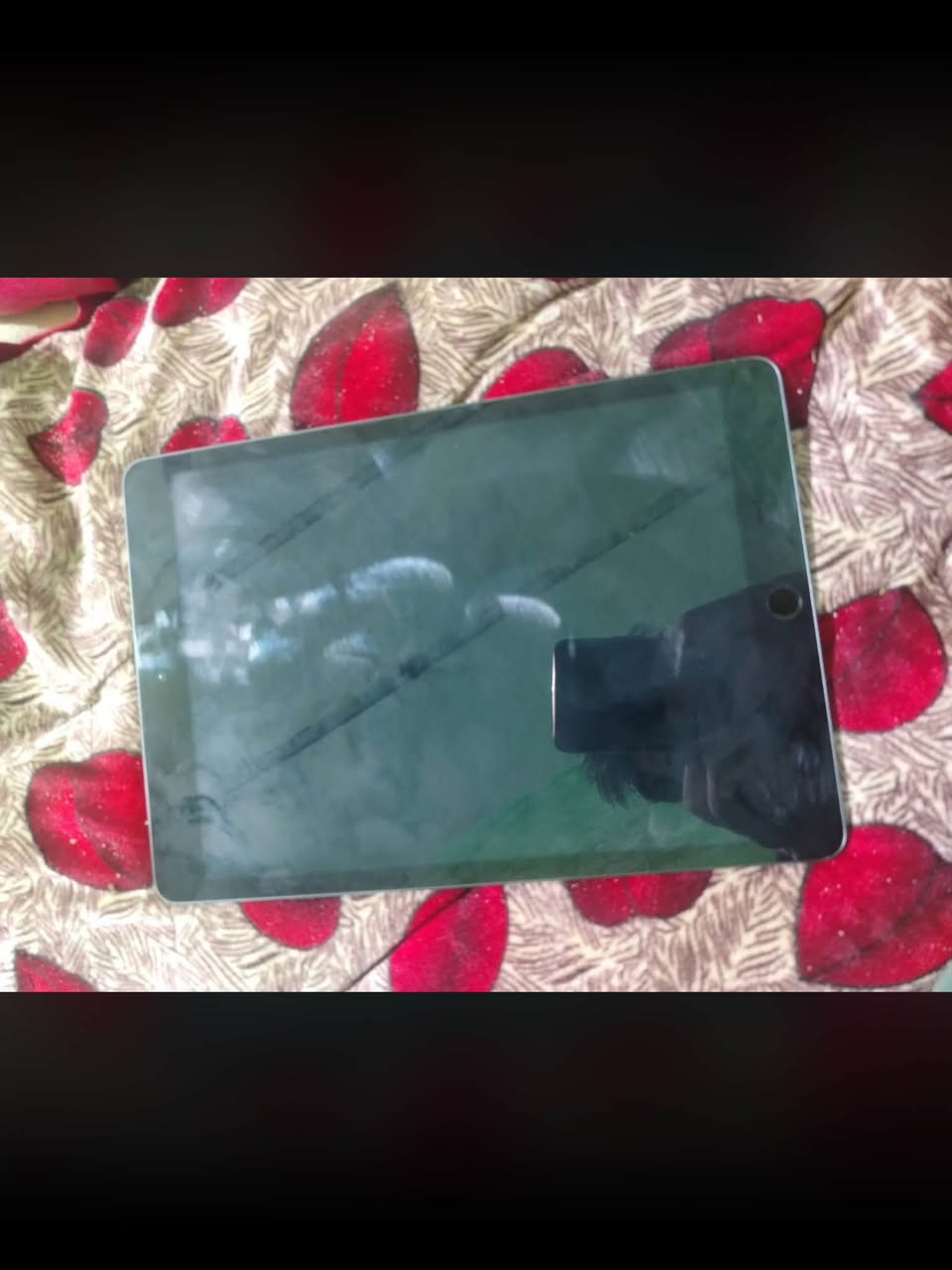 للبيع أو مراوس ب جي تي أو جهاز ١٢٠ فريم العندي ايباد ٩ حيل نضيف بطاريه ٨٣ ممايدل بي اي شي بصمه كلو شغال كلو شرط وإذا مبدل بي شي يرجع عل اي واحد يعجبك ودي كفر اصلي ويا كامل مكاني موصل ايسر


**إذا كنت صاحب هذا الإعلان وتريد حذفه لأي سبب، رجاءا أرسل رسالة إلى الدعم الفني**