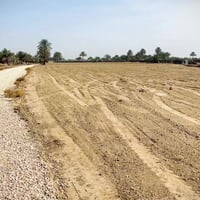 خلف جامعة بابل • ٣ دونم • قابلة للتجزئة