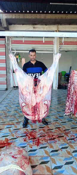 السلام عليكم قصابة وكباب الاصدقاء لحم عجل عراقي كباب لحم عجل +غنم عراقي كباب دجاج تتوفر خدمة توصيل مستعدين لتجهيز كافة المناسبات مكان الاسكندرية شارع العام مقابل معارض الاسكندرية للسيارت بإدارة حيدر ***********وعبس ***********
