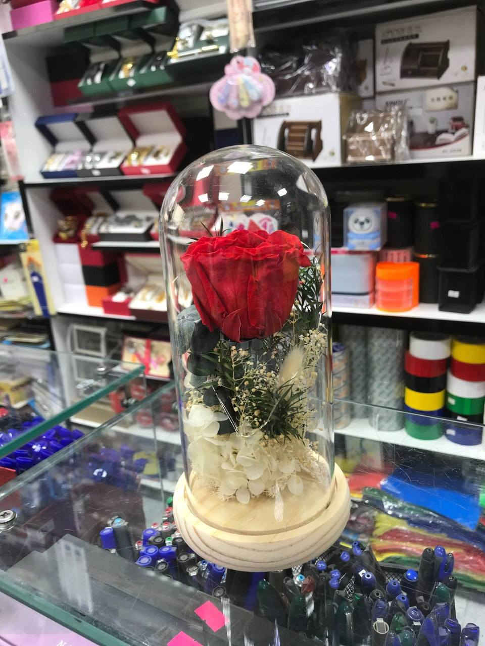 كل عام وانتم بخير 🥳 
متوفر الان 📍
هدايا أعياد الكريسماس 2026
***********
يمكنكم زيارة المكتبة 
المكان : حي النصر | شارع العام | مقابل مطعم حسين ابو التيا
