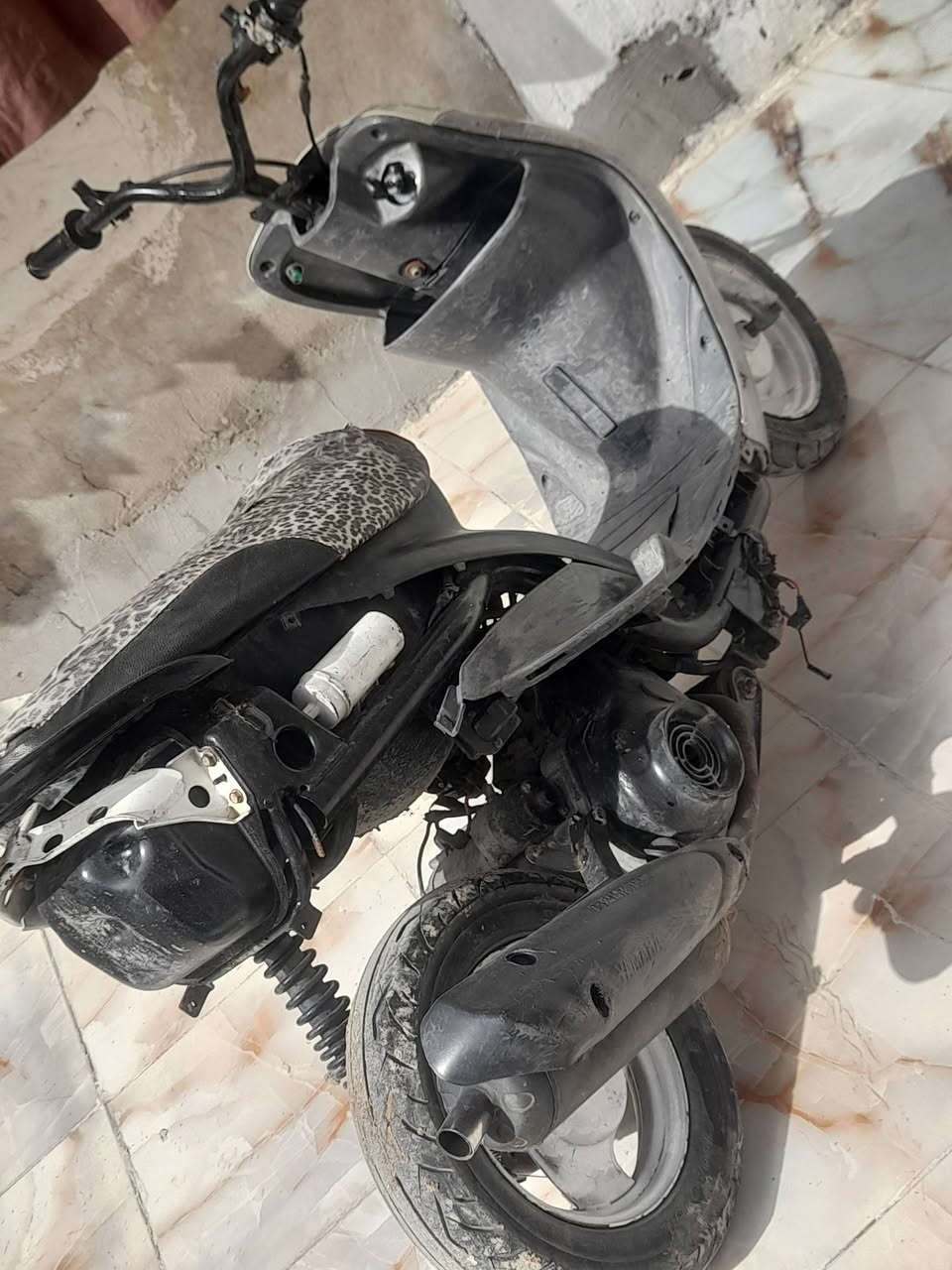 حربيه منغولي مفتوحه ولفات فقط ب ٣٠٠ مكاني اريدو ***********
