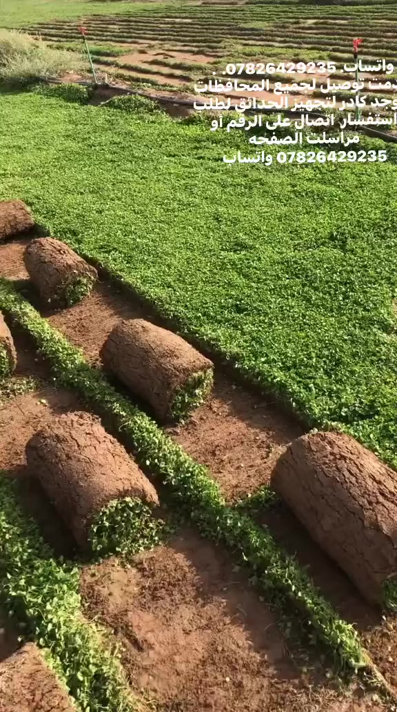 واتساب. ***********خدمت                             توصيل لجميع المحافظات ويوجد كادر لتجهيز الحدائق لطلب استفسار  اتصال على الرقم أو مراسلت الصفحه *********** واتساب
