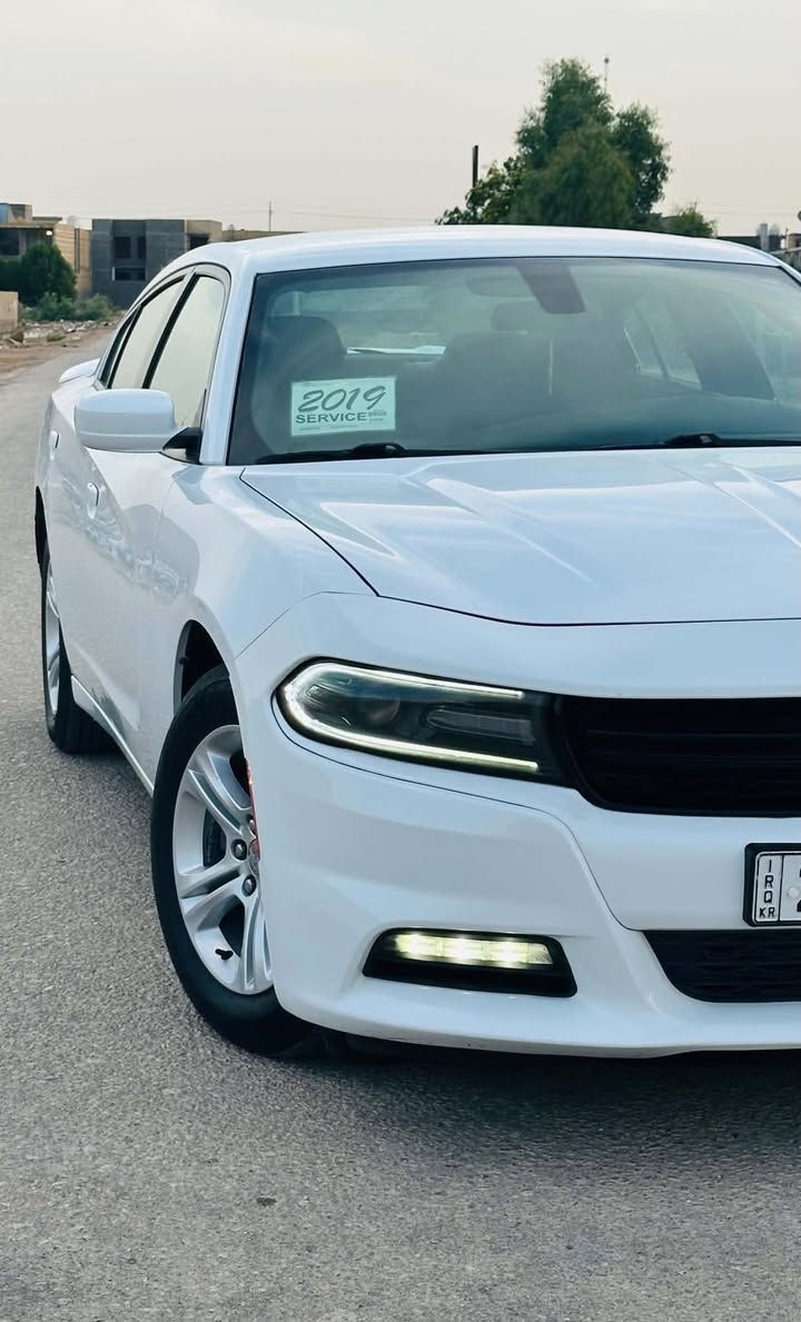 جارجر موديل SXT 2019
رقم  أربيل بسمي تحويل مباشر
جاهزه للخير كلين مكفوله من صبغ وتبديل فقط
 بارد قليل بخشم البنيد و لباب لخلفي مقدار 4اصابع بارد

مكينه كير كفاله شرط ع وضع الشركه 
حداديه الشركه مفتوحه
تخم تاير صار اسبوع شاده

المسافة المقطوعة 119m
استخدااام شخصي

حجم المحرك 3600

مواصفات  
كامره خلفيه
 شفتات سترين 
مصابيح امامية زنون مع بلوجكتر LED .
ويل قياس 18
شاشه  مع نظام ملاحة نفكيشن GPS .
 مقاعد أمامية كهربائية
مقاعد أمامية  وتدفئة .
 تشغيل عن بعد . .
 محدد سرعة . .
 كاميرا خلفية دوارة 
السياره كارتون احلى واجدد من الصور 
كله ع البلاد 
 
للاستفسار
                           *********** 

مكان السيارة بابل

