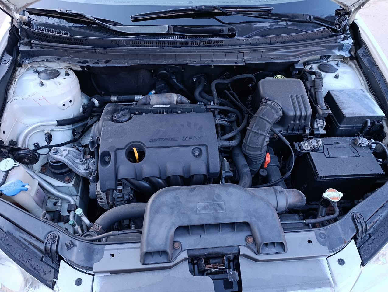 سلامو علایکوم هاوڕێیان
بابەت ...ئاڤانتی سپی بەفری 

مودێل 2007
130هەزاری حەقیقی ڕۆشتوو 

مواسەفادی سادەیە

ویل گەورەی لە ژێرە 

مەسرووفات کراوە

بۆ نرخ و زانیاری پەیوەندی بکە 
 
ئاسیا    ***********
کۆڕەک ***********
