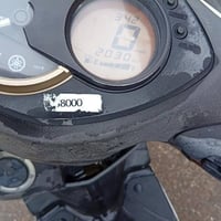 دراجة سكنس فحل نوزل خطين كولد ام الطلاعات ذهبي صارله شهر نازلة رمبة مك...