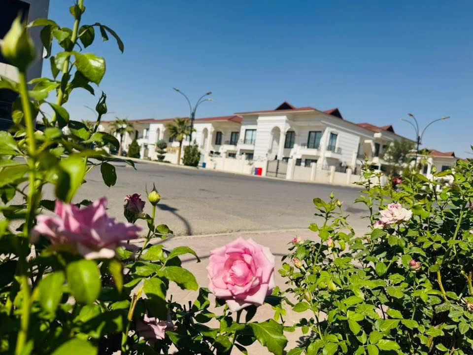 #زيتون_بلاص في #اربيل
@يتوفر فلة 425م
ركن 
5غرف نوم 
للمعلومات اكثر يرجى التواصل معنا :
للمشاهدة فلة من داخل ومعرفة السعر :
عبر #تلغرام https://t.me/erbilkuriraq/11312
#عقارات_خطاب
***********
***********
***********
