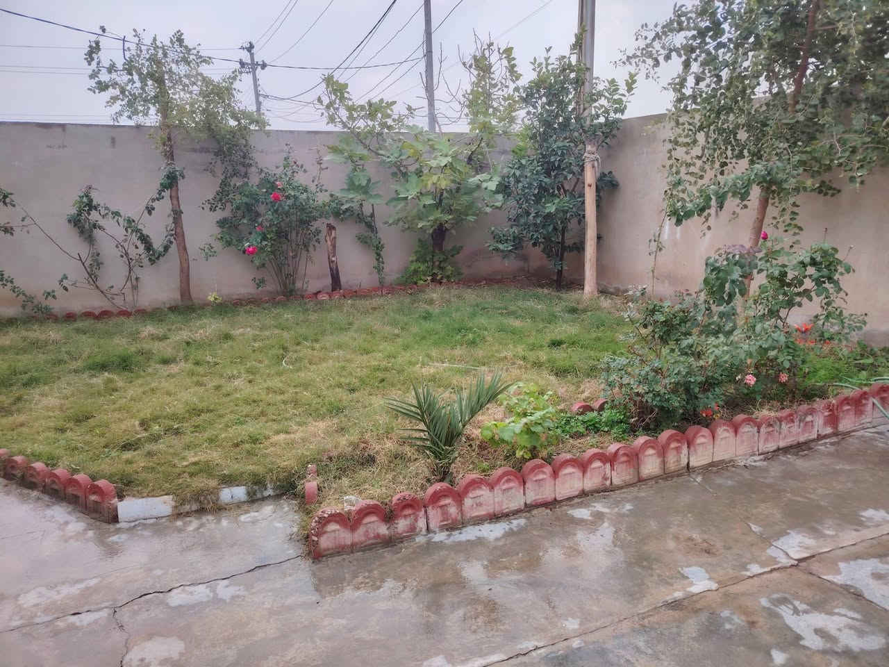 دار البيع ٢٠٠متر فيلق قرب جامع هاوكاري ***********
السعر ٣٦ وبي مجال
