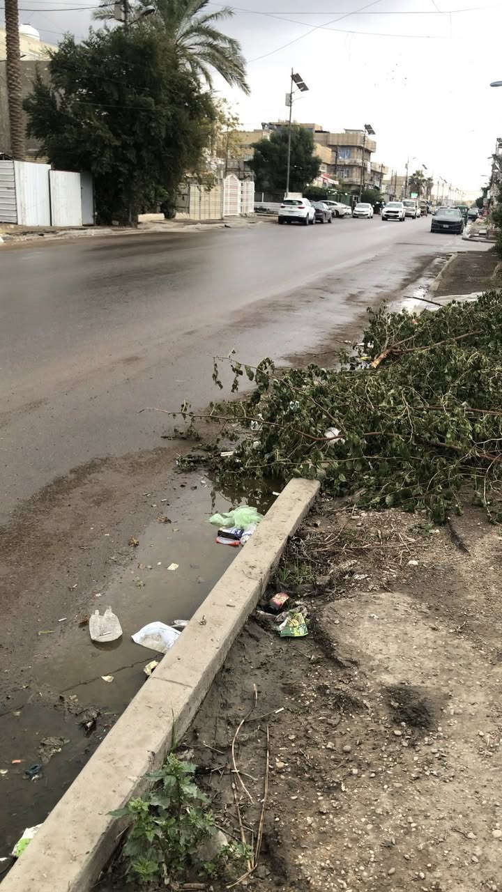 من رخصة المسؤول اخي 100متر بغداد الغزالية شارع المشجر قرب مرطبات قطايف على شارع تجاري للتواصل ***********
