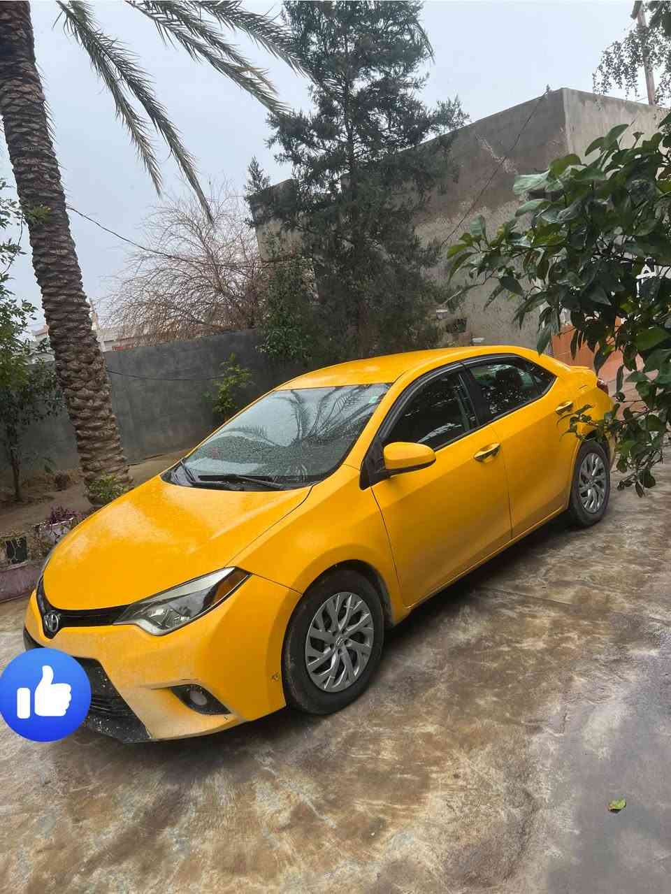 كورلا 2014 le للبيع
رقم سيارة ديالى مشروع وطني سنوية ماساقطة باسمي 
هيئة مصفرة 
كير جديد مال2020 شادلها ومحرك مابي تنقيص 
منضومة غاز 
تخم تاير جديد 
حادثها جامرلغ وراس البونيد بدون تبديل بدون دواخل وبيها بارد شبر هم  سونااار مابيها ماماخذلها
السعر 125 مكان سيارة ديالى جلولاء 
***********
