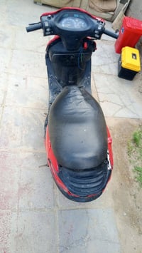 شغالة • ناعمة • ديوانية