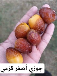 فسائل بريم • فسائل جوزي • كربلاء