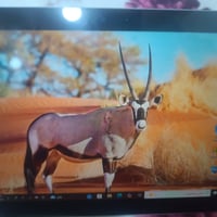 وبركاتة عندي هاي حاسبه للبيع نظيفه جدا واني منزل بيهه لعبتين بس العب ب...