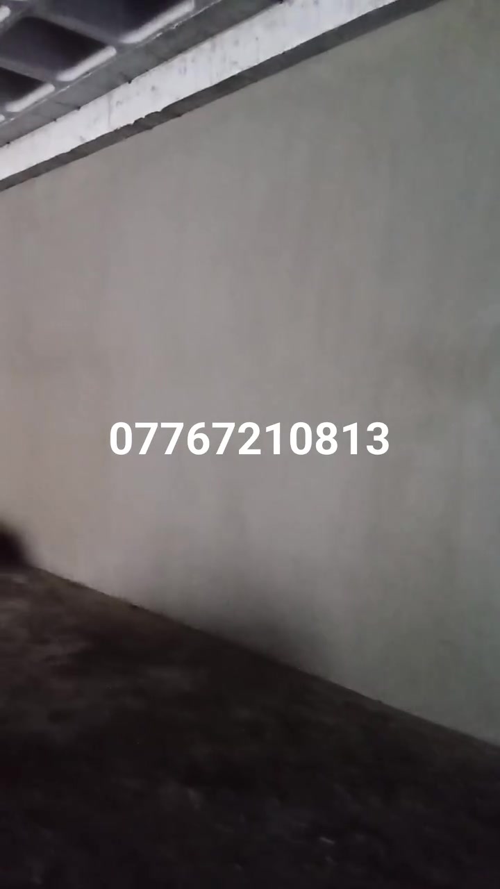 ماجد المصري لباخ واجهيات طلس تركيب فوم شغل سقل ناعم+تصفير حمامات مطابخ+تشميع+نثر***********
