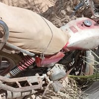 جونده • شغاله • متروكه