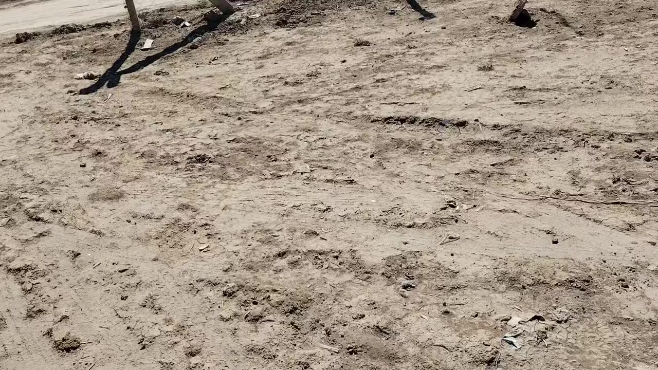 السلام. عليكم. قطعه. ١٢٥٠.متر.لبيع.قرب.جمعت.الحله.وجه.٥٠.نزال. الشارع. العام. ١٥٠.متر.. مكلف. بلنشر. ***********....***********
