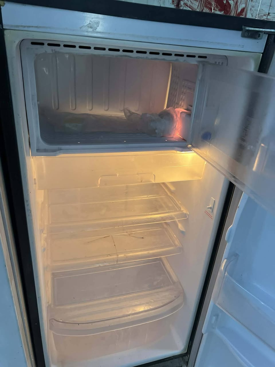 ثلاجه للبيع نظيفه حيل ما بيها اي عيب ولا خيسان شرط التشغيل والتجميد سعرها ب ١٠٠ وبيها محال بسيط


**إذا كنت صاحب هذا الإعلان وتريد حذفه لأي سبب، رجاءا أرسل رسالة إلى الدعم الفني**