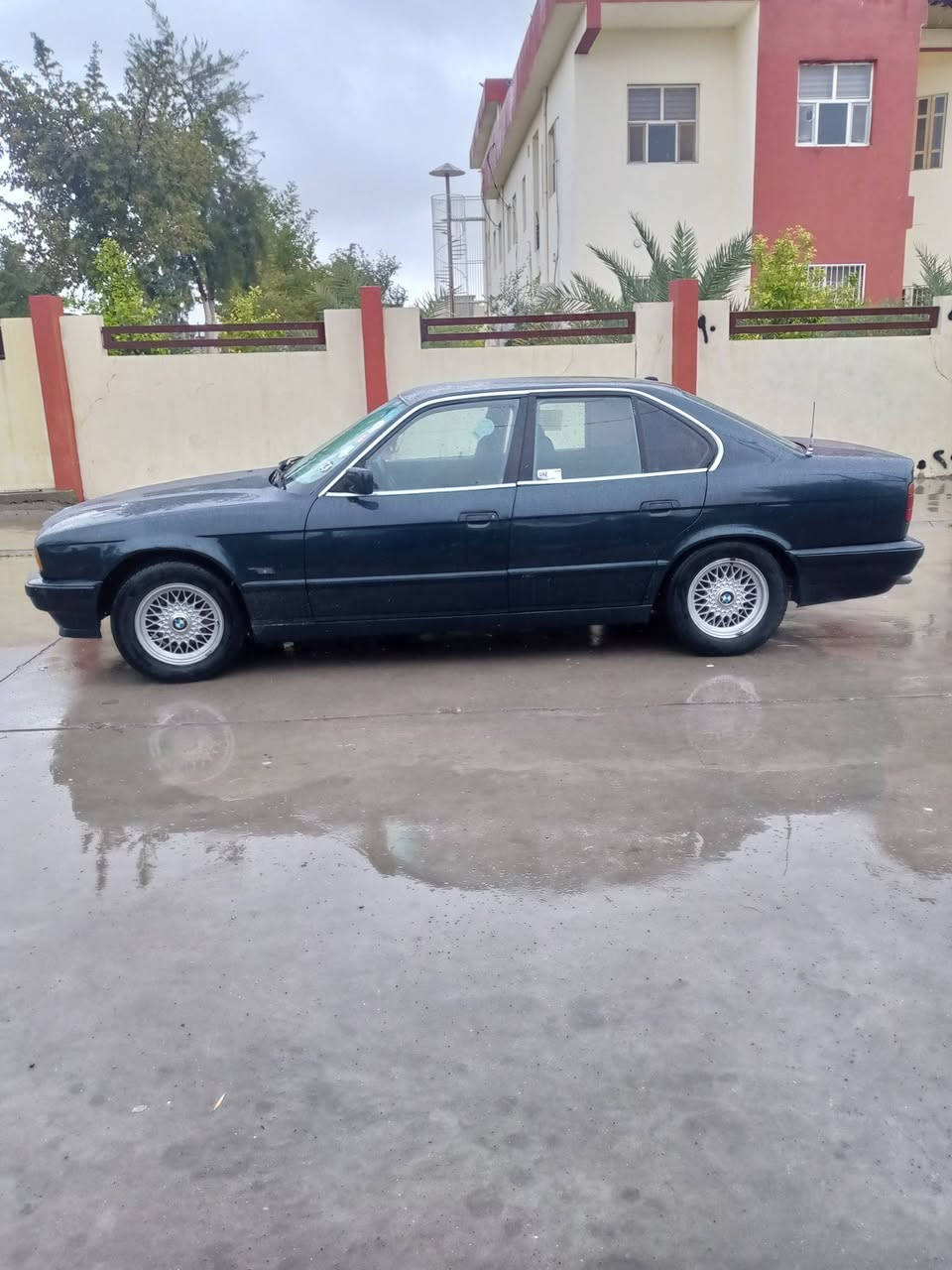 سلام وعليكم بي ام موديل ١٩٩٥ حجم ٥٢٥ تبريد شغال رقم دولي سنويه جديد سيارة صبغ جمالية بدون ضرر كير ومحرك بشرط اوتوماتيك سعر ٥٨$ مكان كركوك رقم الهاتف ***********.     زين *********** شراي يخابر اني مكلف بنشر
