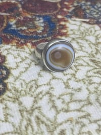 مراوس • بيماني • خشن