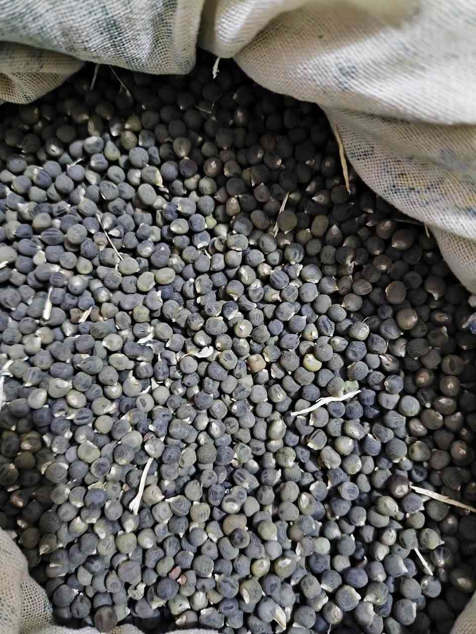 مرخصت الادمن ....


**إذا كنت صاحب هذا الإعلان وتريد حذفه لأي سبب، رجاءا أرسل رسالة إلى الدعم الفني**