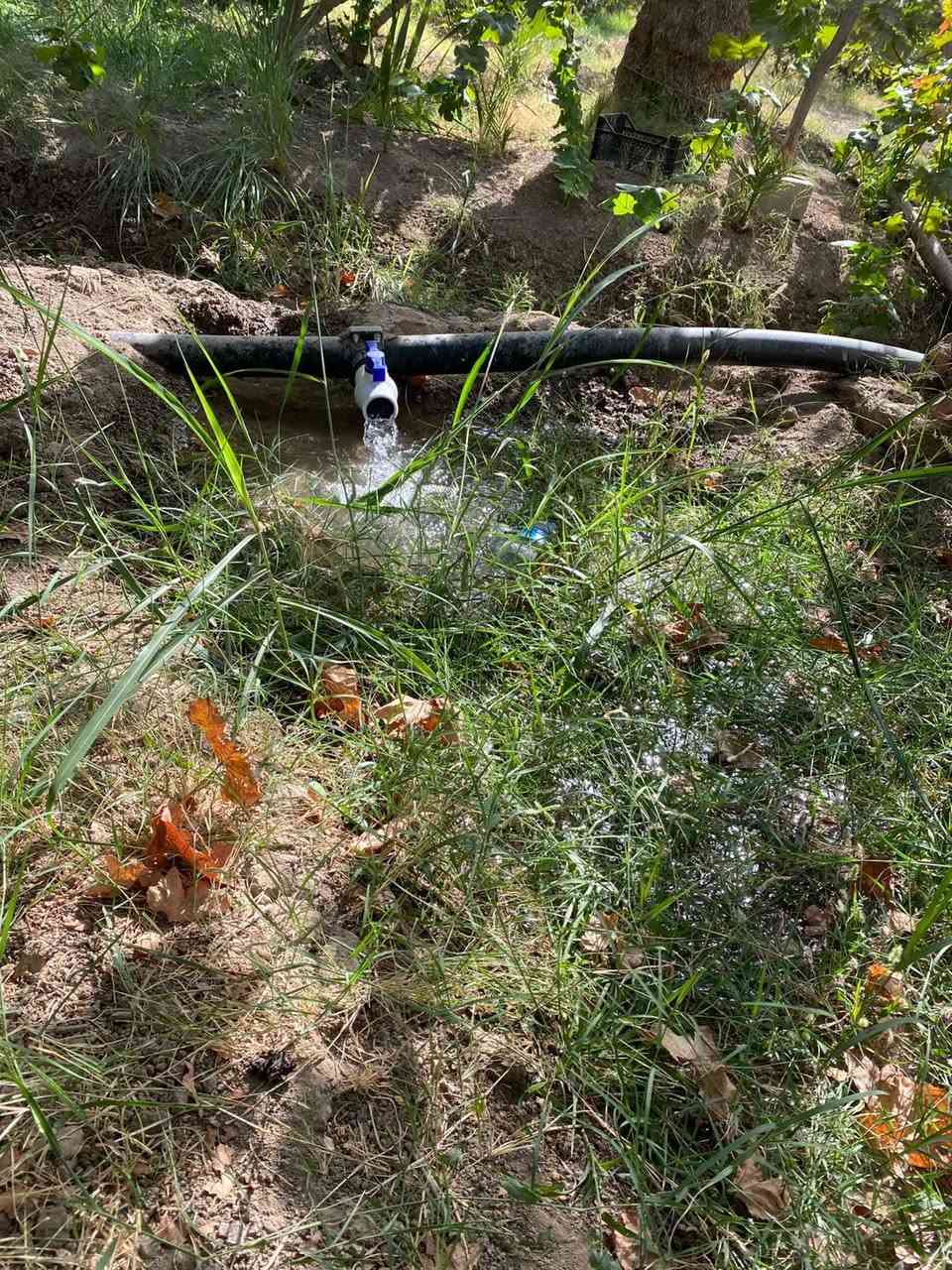 بستان ٣،دونم  طابو زراعي سند ٢٥ مغروسه انواع الفواكه ( تين ،عنب ،تفاح ،نخيل ) فيها بئر ماء صالح للشرب و منظومة سقي 
كافة الخدمات متوفره ماء وكهرباء 
تباع كلها او دونم واحد او نص دونم
تبعد عن الشارع 700 متر
#الحله_منطقه_هوى_الشام
للتواصل 
***********
