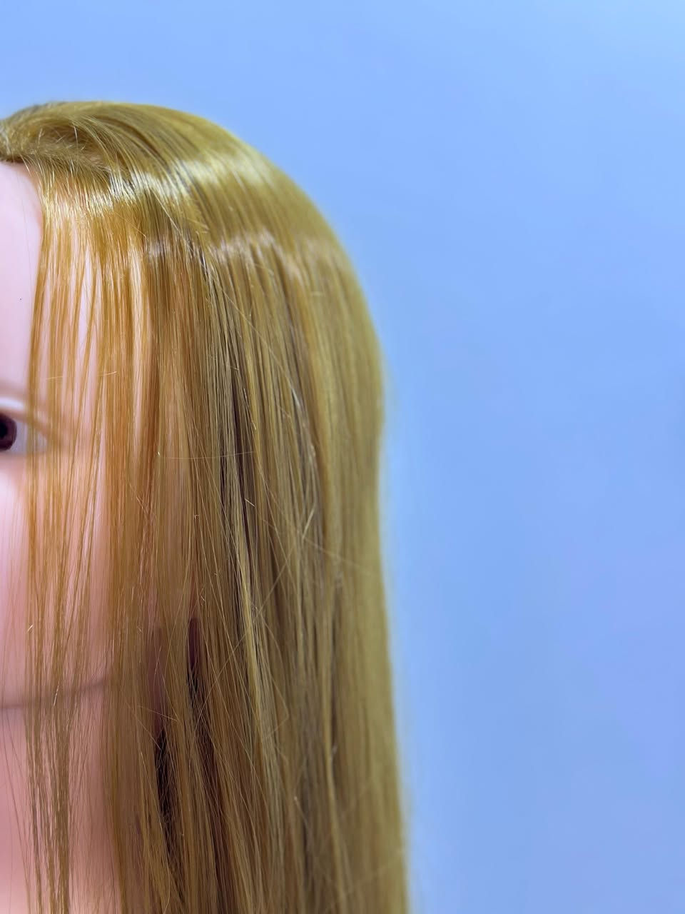 مانيكان شعر طبيعي


**إذا كنت صاحب هذا الإعلان وتريد حذفه لأي سبب، رجاءا أرسل رسالة إلى الدعم الفني**