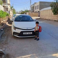 كورولا • ضرر كامل • المحاويل