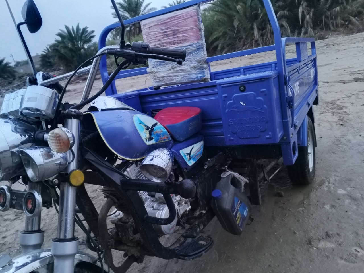 فحل للبيع 2023نضافه خير من الله طالعه صارله 7اشهر وكيله نوار مكاني قضاء السدير شراي ادخل خاص


**إذا كنت صاحب هذا الإعلان وتريد حذفه لأي سبب، رجاءا أرسل رسالة إلى الدعم الفني**