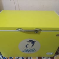 مجمدة • حجم ١٤ • سوق الشيوخ