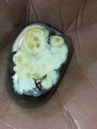 فص داوودي • عطف قديم