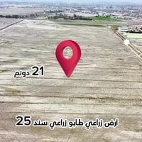 ٢١ دونم زراعي سند ٢٥  مي وكهرباء يصلح للسكن والزراعه تحويل مباشر باسم ...