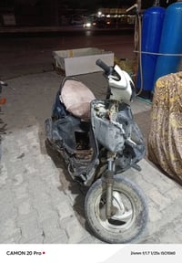 فراشة • للبيع • ما بي شي