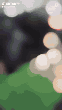 عروض عيد الحب الكوافير ساندي الشرطه الخامسه قرب جامع ***********
صبغ وتخصيل الشعر القصير 30
صبغ وتخصيل الشعر الطويل50
معالج بروتين 15
تنظيف قدم ملكي7
معالج ومسرح ككو هير 40
شمع وحف 7
تركيب رموش 7
تاتو 20
توريد شفه 20
تنظيف بشره ملكي 7
صبغ الشعر الطويل بدون سحب 20
اكرلك 25
مكياج 15 مع الرموش
