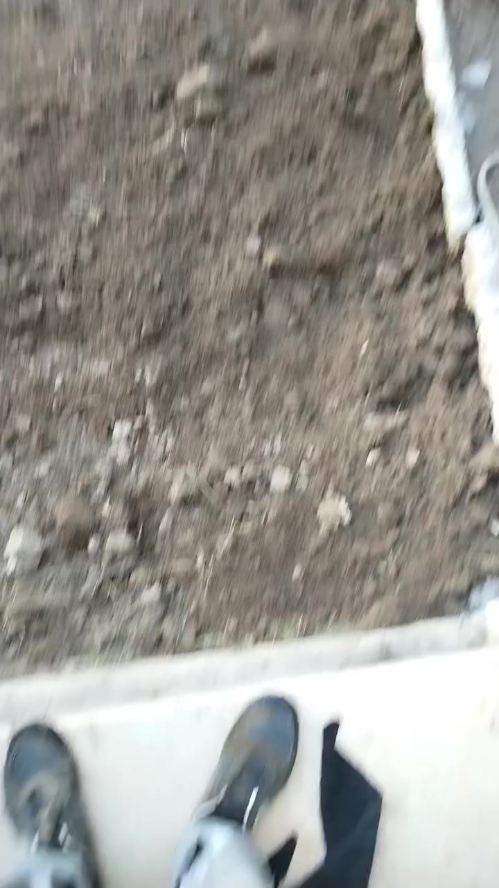 تنظيف الحدائق تقليم الأشجار
تنظيف السطوح
رقمي ***********
