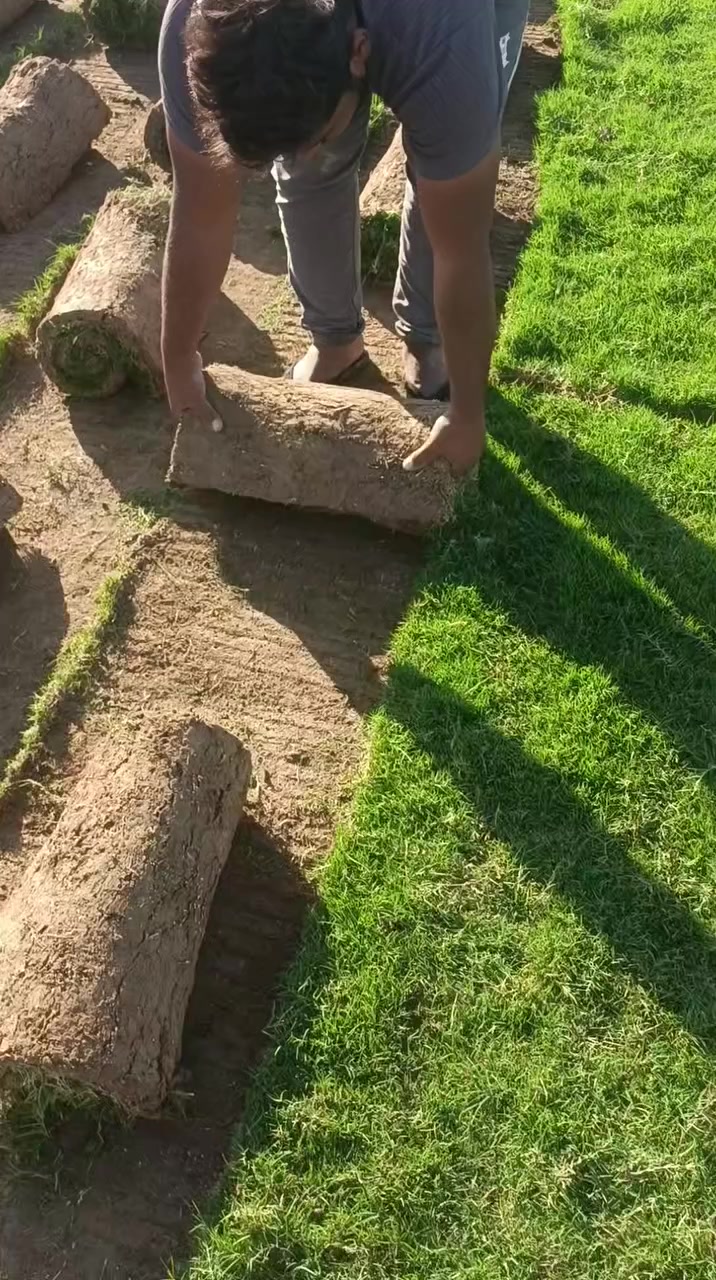 مزارع خريسان للثيل الطبيعي بكافة  انواعه  🍀 
 متوفر كافة انواع الثيل 🍀
( امريكي - الهندي - الايطالي - الفرنسي )
لتجهيز... مشاتل🌴
والدوائر حكوميه🏦
منازل🏡 
منتزهات🏄
موجود خدمة توصيل مجاني 🚕
لكل محافظات العراق 🚕
للطلب يرجى التواصل مع الصفحة او مراسلة واتساب او الاتصال على :

*********** #ثيل_ديالى
