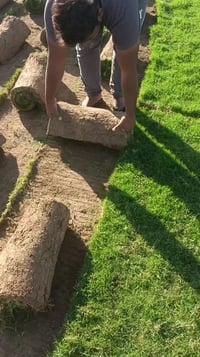 ثيل طبيعي • توصيل مجاني • ديالى