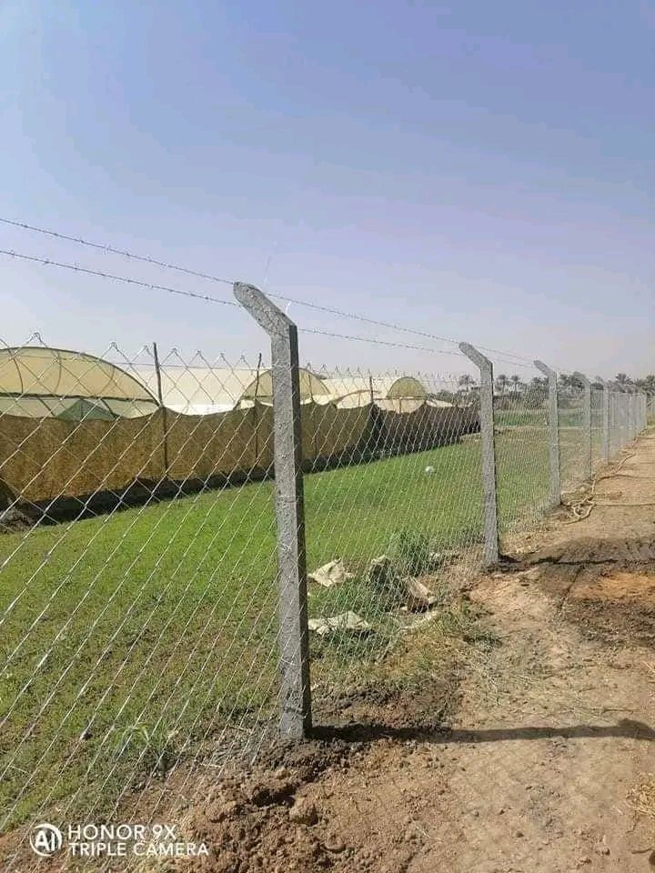 عمل ونصب اسيجه البيارسي بأنواعه الاسعار حسب نوعيه سمك السيم نعمل في جميع محافظات العراق للاستفسار الاتصال
واتساب***********.
