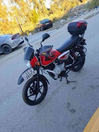 بوكسر جبلي فحل موديل شكل 2023مسجله 2022 جاملغ طويل ستان دائري  كير مكي...