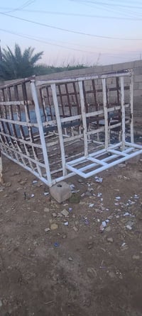 محجر • كي فحل