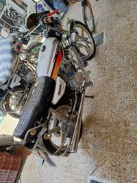 جني • ابو الكله • ٢٠٢١
