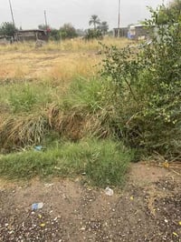 بغداد جسر ديالى التويثه • 300م • سند طابو