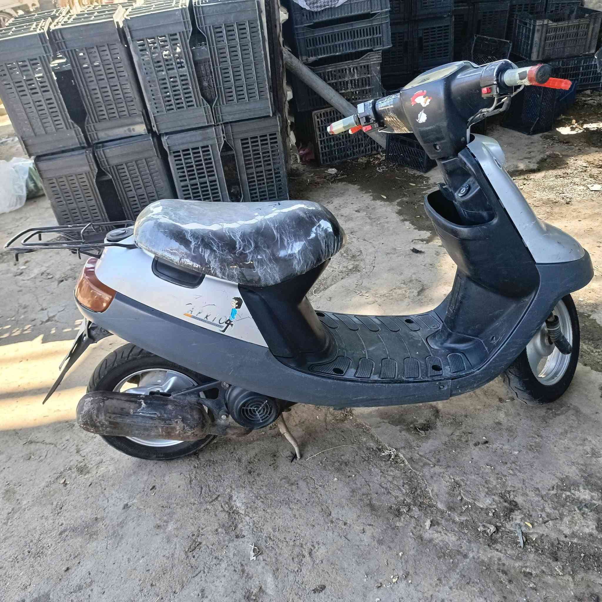 *********** سعر 300 وبيجا
