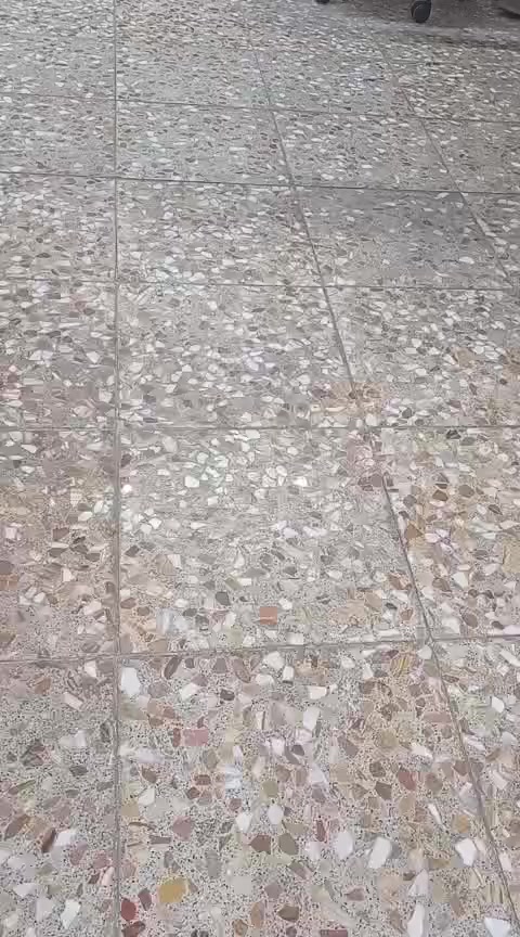 كرات منضدة نظامية 
امزون اوربي الاول القديم 
فديو يوضح الكرات 
45كرة 
+
حقائب للمضرب عدد 2
المبلغ الكلي 30 الف 
متوفر توصيل لجميع المحافظات


**إذا كنت صاحب هذا الإعلان وتريد حذفه لأي سبب، رجاءا أرسل رسالة إلى الدعم الفني**