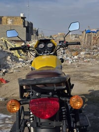 دايون جبلي • موديل ٢٤ • أوراق اصولي