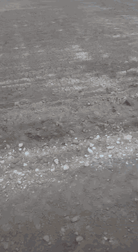 سلام عليكم قطعه زراعي ناصريه حي السبل حي الزهراء النموذجي مكلف بل نشر ***********
