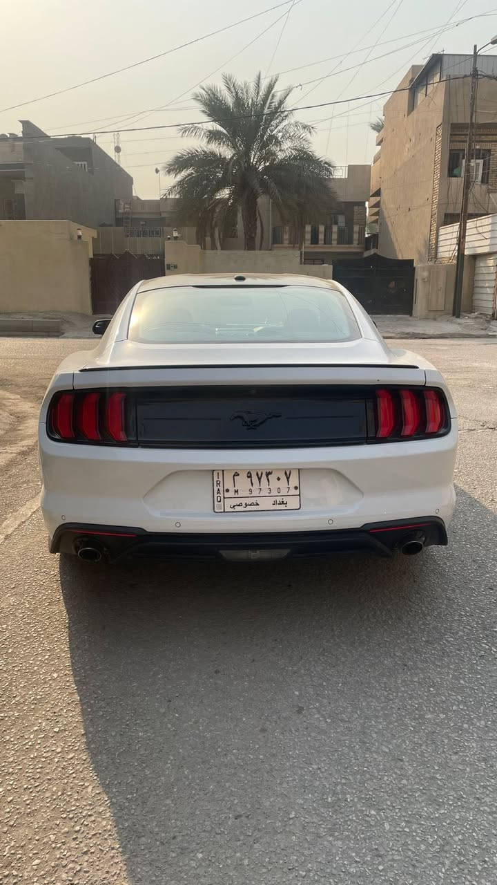 سلام عليكم 
موستنك ايكو بوست ٢٠١٩ 
عليها برمجة طلال 
السيارة نظيفة و مصروف عليها و مرتبة مابيها اي نقص 
استخدام يومي فقط 
صور الحادث موجودة و السيارة استيراد ب سنة ٢١ 
عارضها ب155 و بيها مجال بسيط كلش 
متواجد على الواتساب بس ***********
