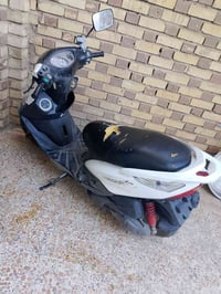 ماكس ثعلب • كوفة • ميسان