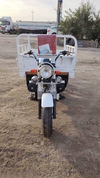 موديل ٢٤ مكفولة عشائريا فقط 07854980334