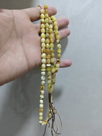 مسبحة • كهرب بولوني • خرزة ٩مم