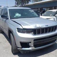 هاي جيب • ٢٠٢١ • وراد أمريكي